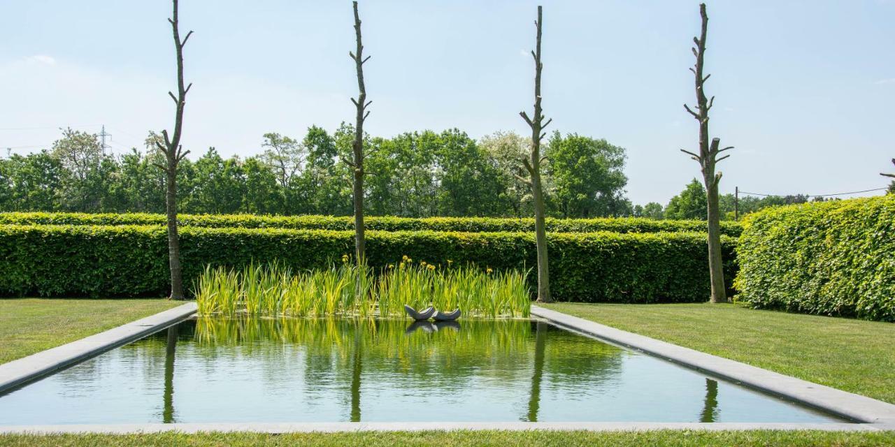B&B De Grote Kievit Geel Bagian luar foto