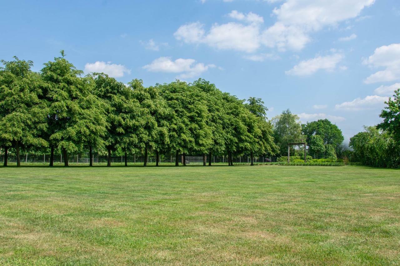 B&B De Grote Kievit Geel Bagian luar foto